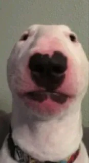 😐