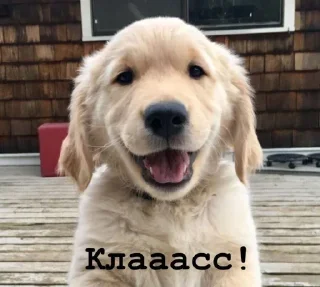 👍