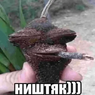 ништяк)))
