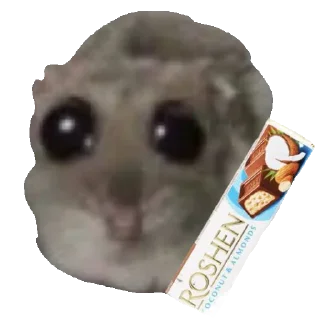 🍫