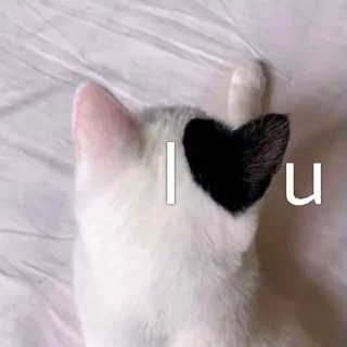 ❤️