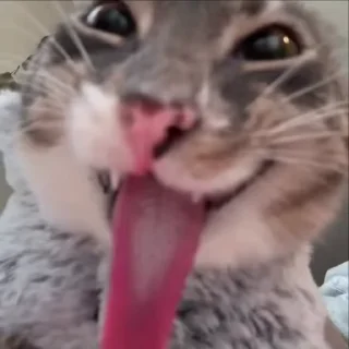 😜