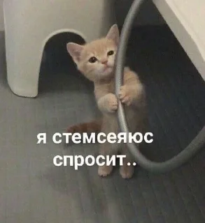 👉