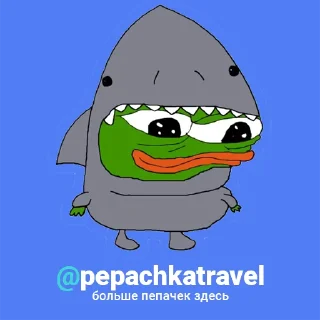 🦈