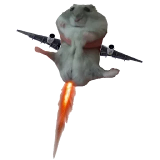 🚀