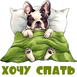 😴
