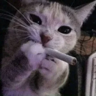 😔