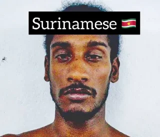 🇸🇷
