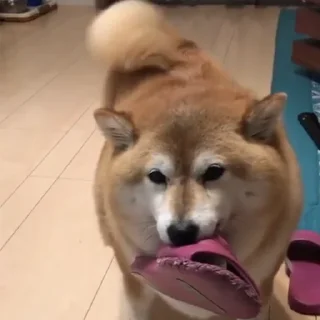 👟
