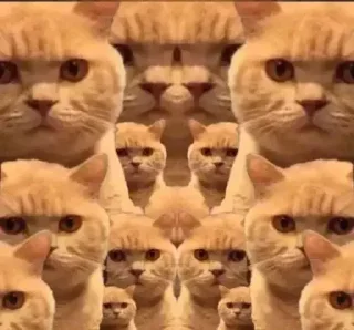 👀