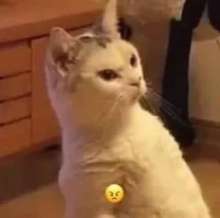 🎀