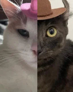 🤠