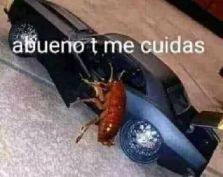 🦗