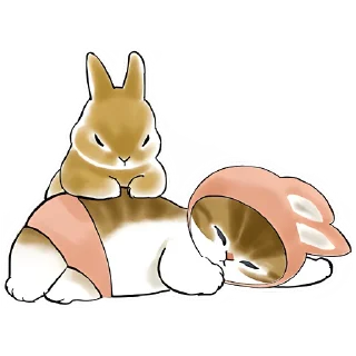 😴