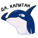 🦈