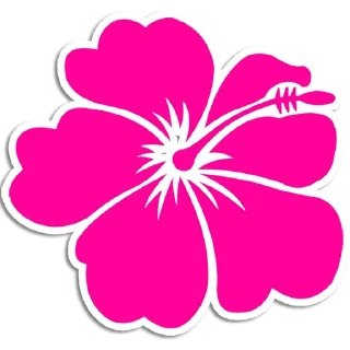 🌺