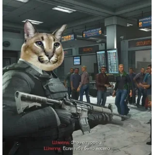 😎