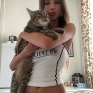 🐱