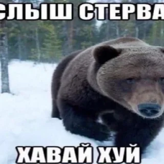 🤣