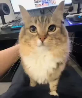😐