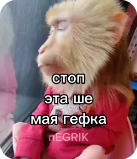 🌟