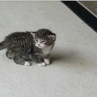 😟
