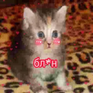 😳