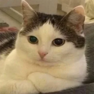 ☹️