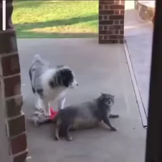😡