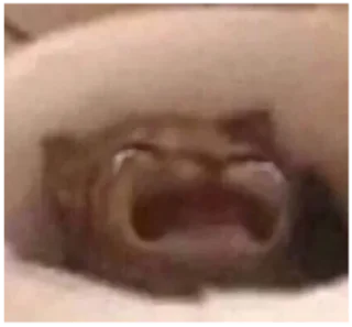 😭