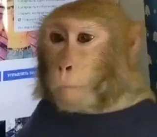 😐