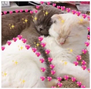 🥰