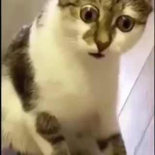 😳