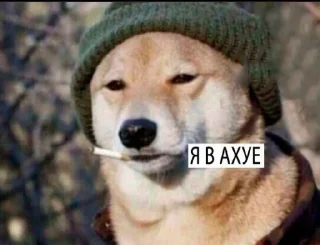 🙁