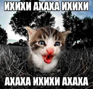 😂