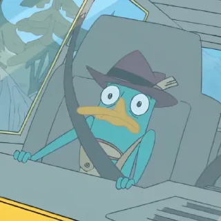😨
