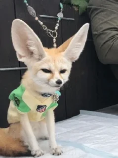 😑
