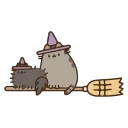 🐱