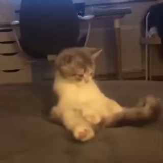 😳