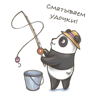 🎣