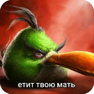 🐦