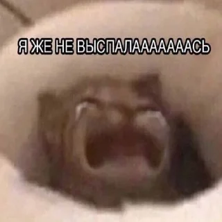 🫠