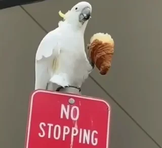 ⛔️