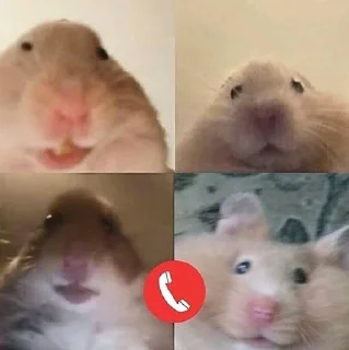 🤓