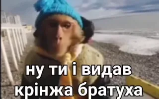 🤢