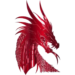 🐲