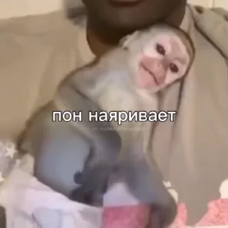 🥹