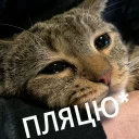 😢