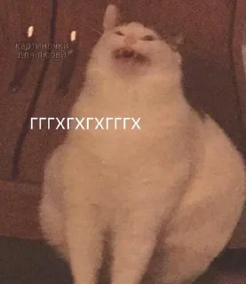 😆