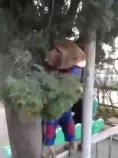🤪
